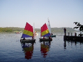 Cubs sailing